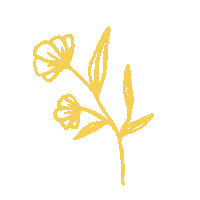 Bridalbynatalie flower yellow flower yellowflower bridalhair Sticker