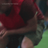 Laguarimba Pain GIF by La Guarimba Film Festival