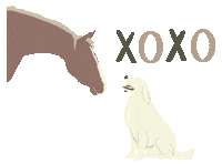 Puppy Love Horse Sticker by Molly Virginia Morris Photography