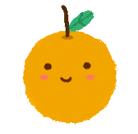 Orange Fruit Sticker