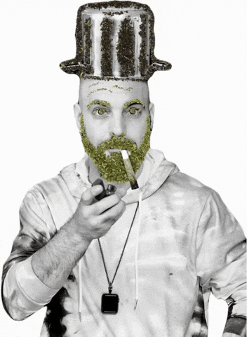 Cannabis Pothead GIF by HIGH BAR