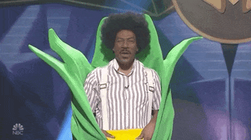 Snl GIF by Saturday Night Live