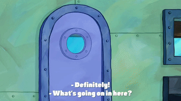 season 9 GIF by SpongeBob SquarePants