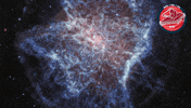 James Webb Nasa GIF by ESA Webb Space Telescope