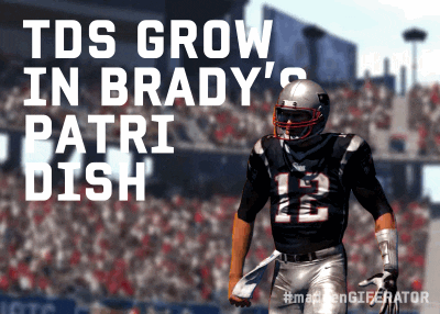 New England Patriots GIF by Madden Giferator