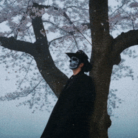 Miisfiit GIF