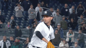 Talkin Yanks GIF by Jomboy Media