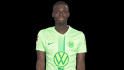 Bundesliga No GIF by VfL Wolfsburg