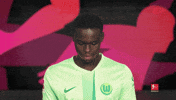 Look Up Vfl Wolfsburg GIF by Bundesliga