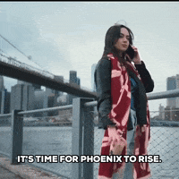 Lets Go Phoenix GIF by Global Esports