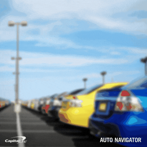 GIF by Capital One