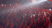 live performance GIF by 5 Seconds of Summer