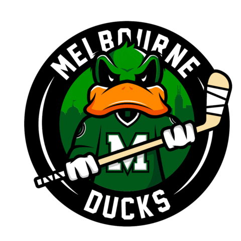 Ice Hockey Sticker by icehq
