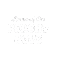 motelnights motelnights motel nights motelnightsuk peachy boy Sticker