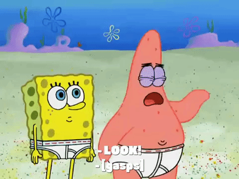 season 7 GIF by SpongeBob SquarePants