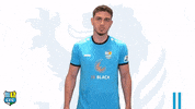 Football Sport GIF by ChemnitzerFC