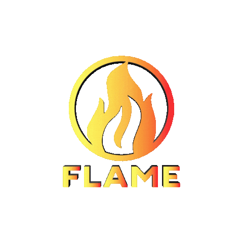 Fire Show Sticker by Nova Sound