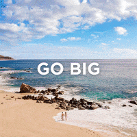 Hgv GIF by HGVSocial