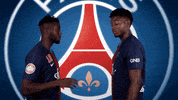 right wing fun GIF by Paris Saint-Germain Handball
