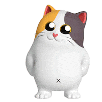 Cat Ok Sticker by Liberty Cats Emojis