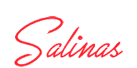 carnaval salinas Sticker by Salinas