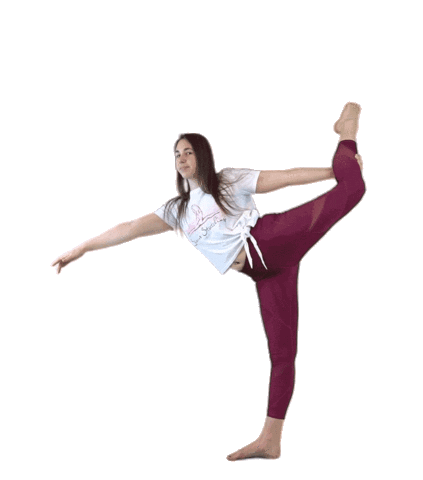 Yoga Balance Sticker by sisers-stretching