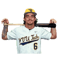 Baseball Sticker by WVU Tech Golden Bears