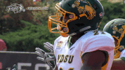 north dakota state football GIF by NDSU Athletics