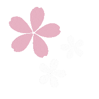 days_cy pink flower sakura bunga Sticker