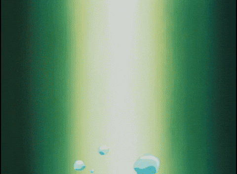 lanwoof giphyupload GIF
