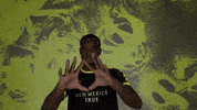 Soccer Nmtrue GIF by New Mexico United