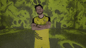 Soccer Nod GIF by New Mexico United