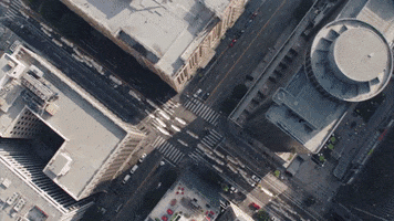 car puppy GIF by MINI Italia