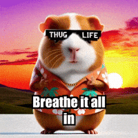 GIF by Guinea Gambino