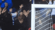 GIF by Giffffr