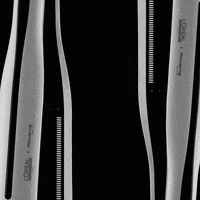 lorealprofessionneleducationus  GIF