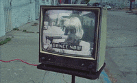 Daddyshome GIF by St. Vincent