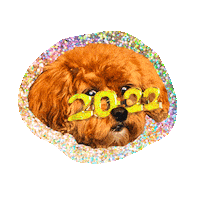 Happy New Year Sparkle Sticker by Big Mamma group
