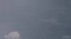 Fly Dragon GIF by Game of Thrones