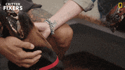 National Geographic Love GIF by Nat Geo Wild