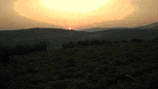 GiustiWine sunset landscape valpolicella vineyards GIF