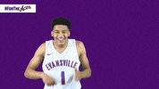 Purple Aces Evansville GIF by UE Athletics