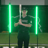 Parkside Baseball GIF by Parkside Athletics