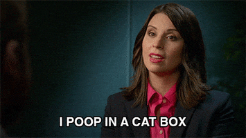 newsreaders GIF by Adult Swim