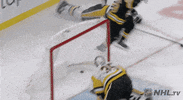 Ice Hockey Sport GIF by NHL