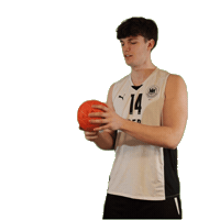 Dhb Becker Sticker by dhb_teams