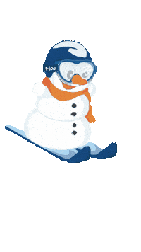 Floc Skiing Sticker by Ski School Ortisei