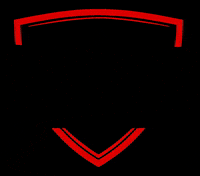 bzperformance performance auto software tuning GIF
