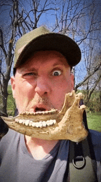 Nom Nom Nom Eating GIF by Crazy Detectors