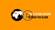 GIF by Yellow Zebra Safaris